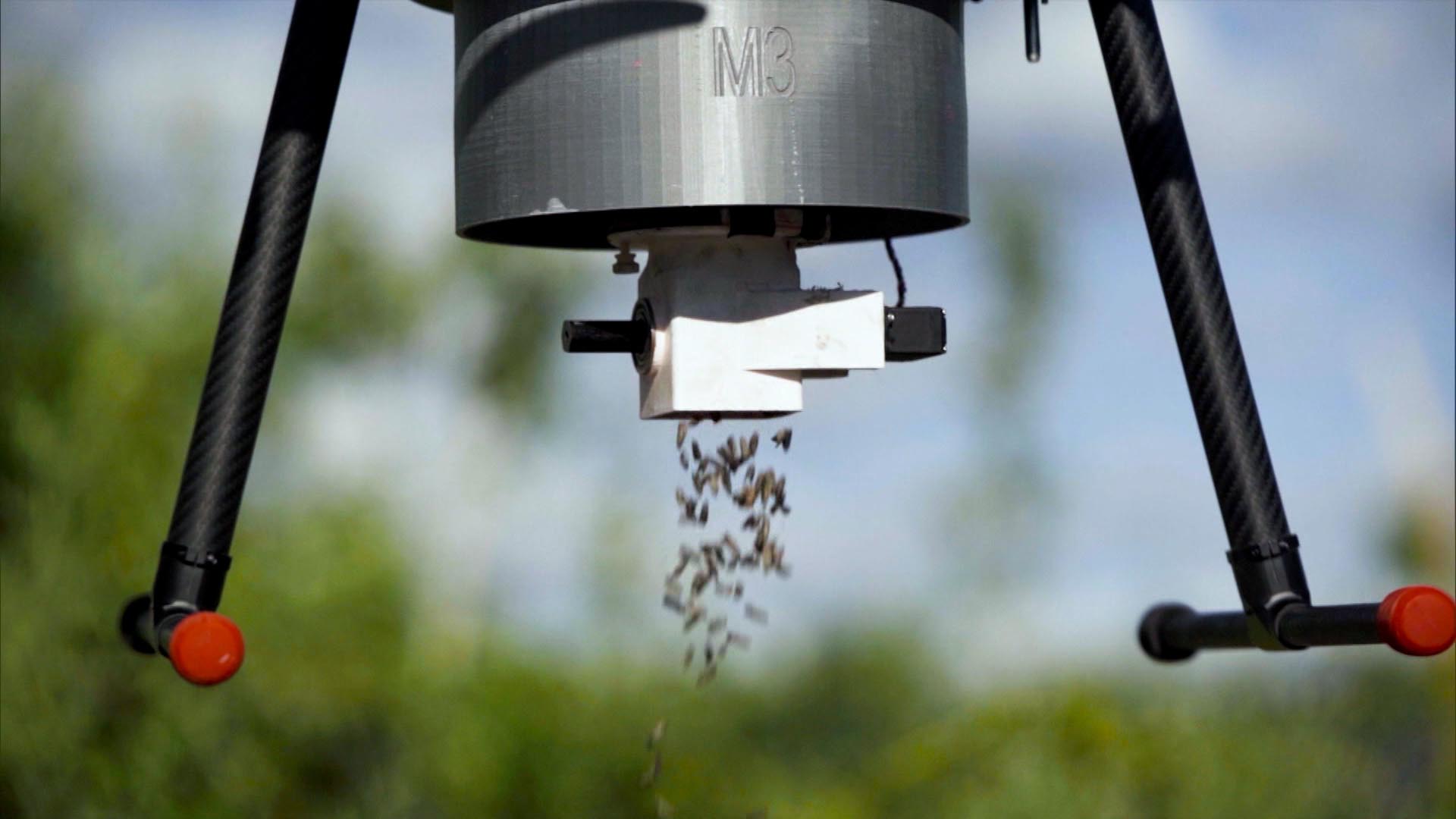 Moth control drone can kill pests without spraying