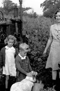 Farm family picking tomatoes. Warren County, 1945.