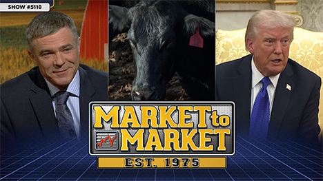 Market to Market - October 24, 2025 | Matthew Bennett, a tagged black cow and Trump in the Oval Office.