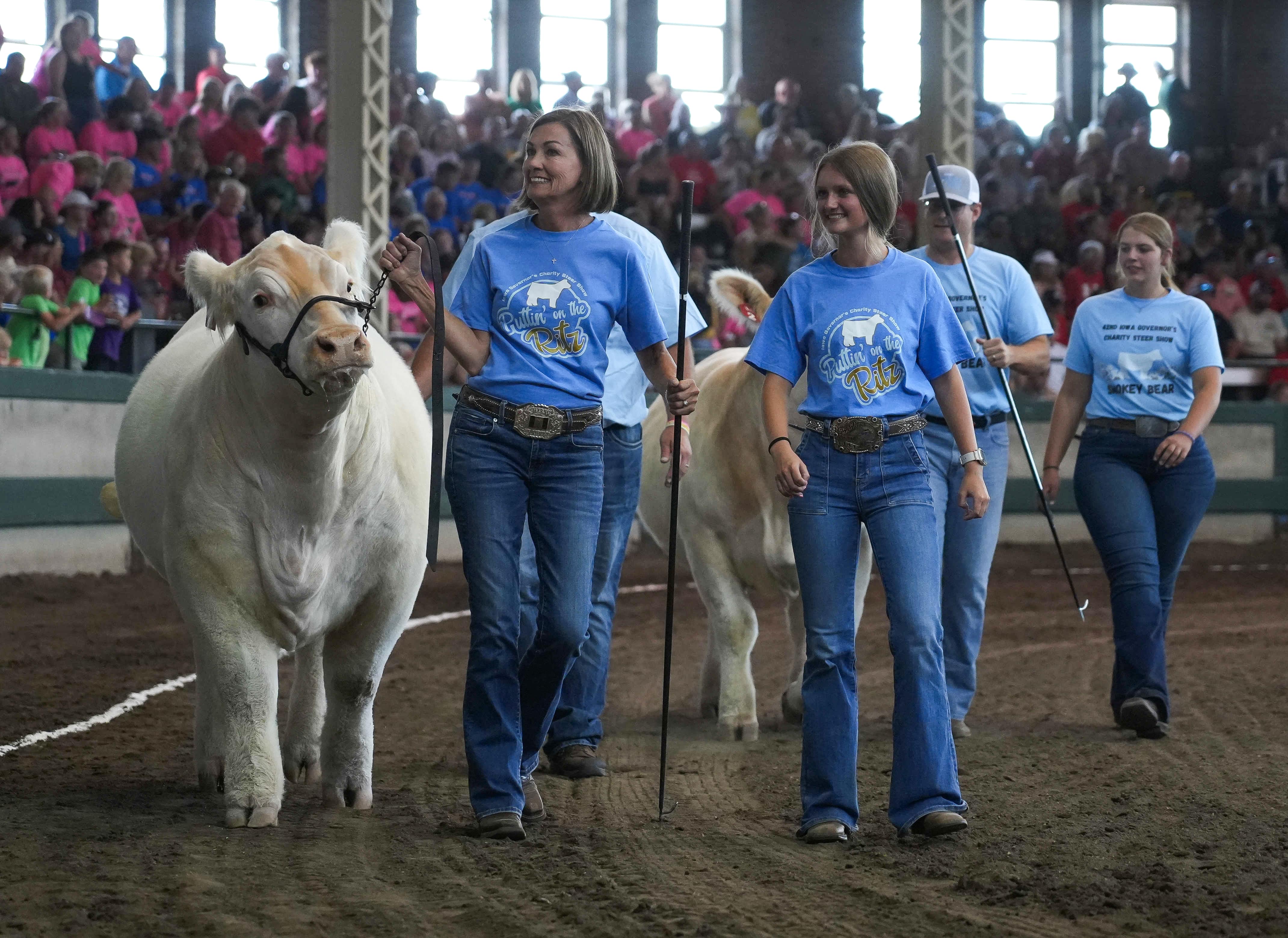 Governor Reynolds guiding a steer