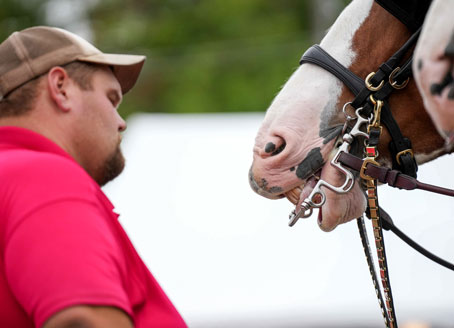 A man faces the head of a brown and white horse in a close up.