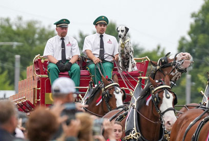 Two men in green pants, white collared shirts and green hats drive a horse drawn red carriage.