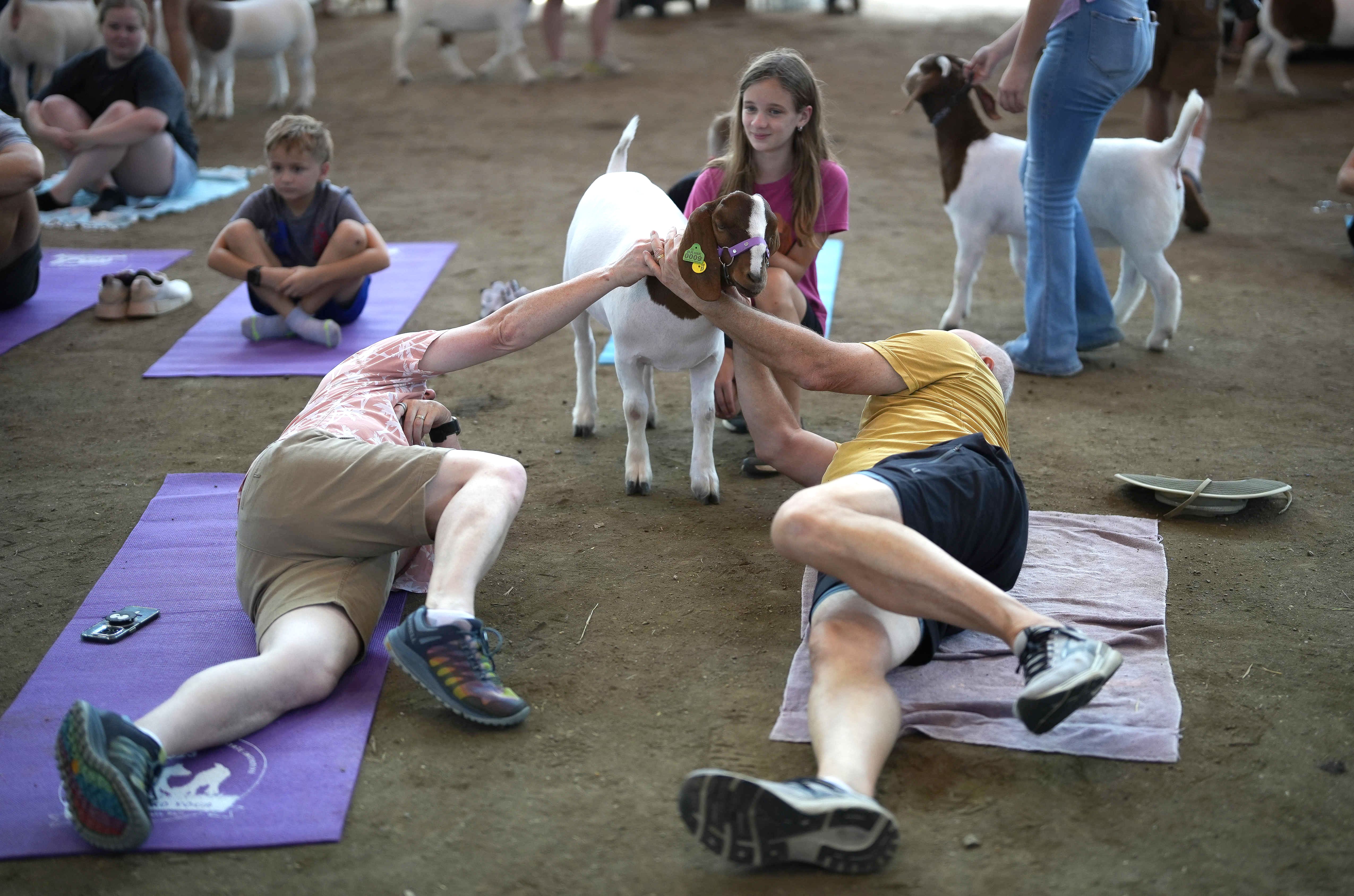 Reaching for a pet during goat yoga. 