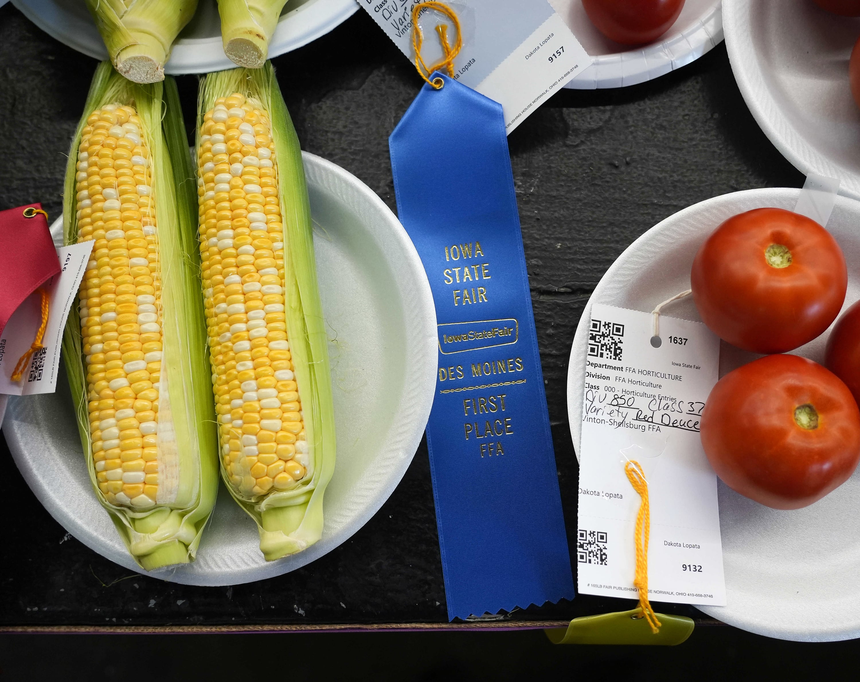 Sweet corn and tomatoes on plates next to a first place blue ribbon