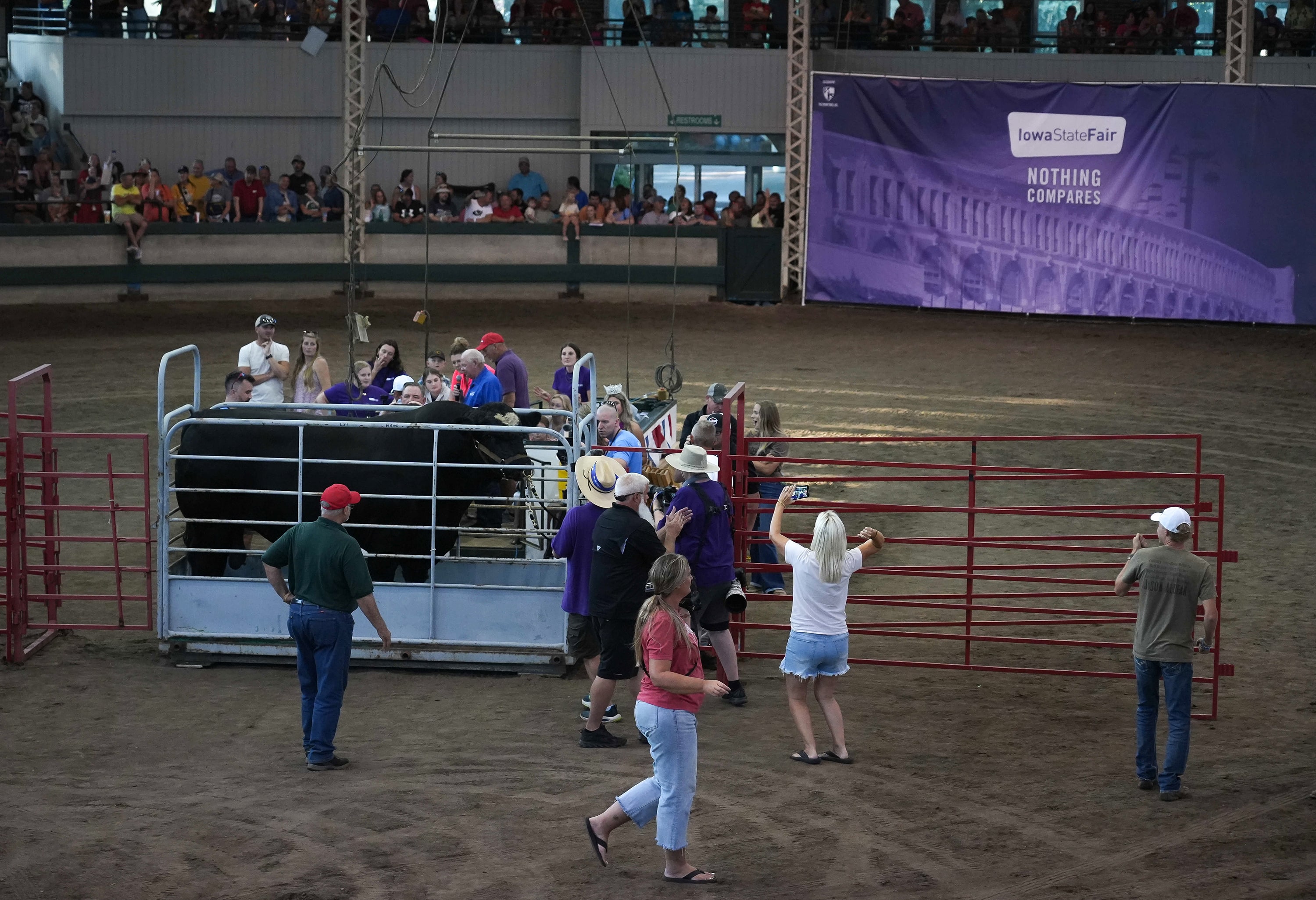 Teddybear was crowned the Super Bull at the 2024 Iowa State Fair, weighing 3,060 lbs.