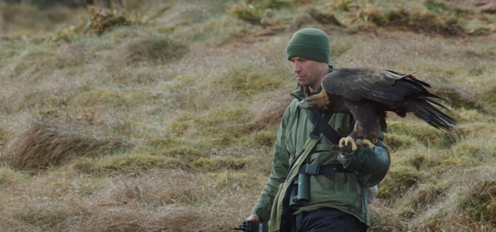 Bird specialist Lloyd Buck walking down a hill with an eagle on his arm