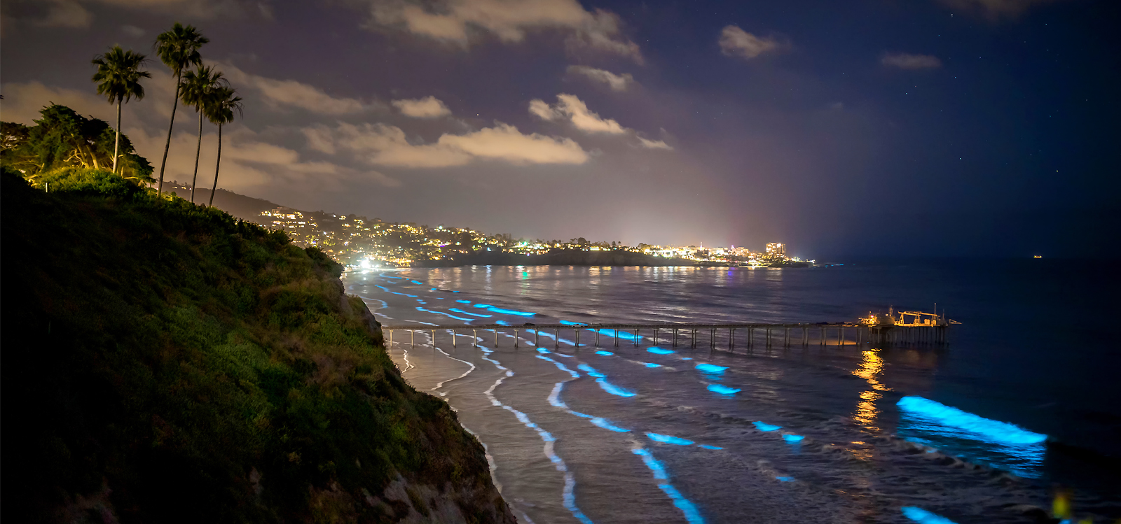 Bioluminescent waves crash along the shores of San Diego, CA.