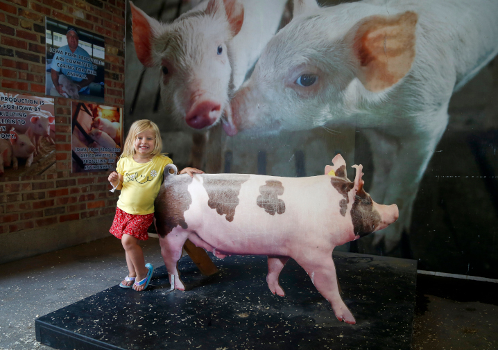 A young fairgoer poses for a photo with a cutout of a pig in the Swine Barn