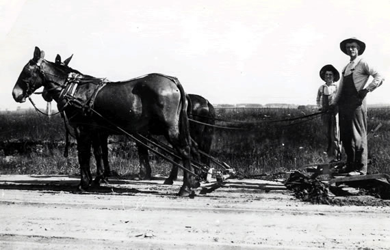 Horse-drawn Dirt Road Grader