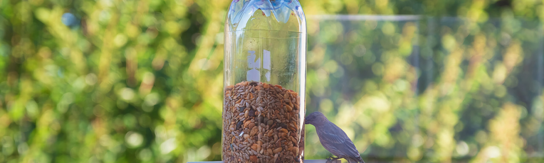 How to Make a Plastic Bottle Birdfeeder, …