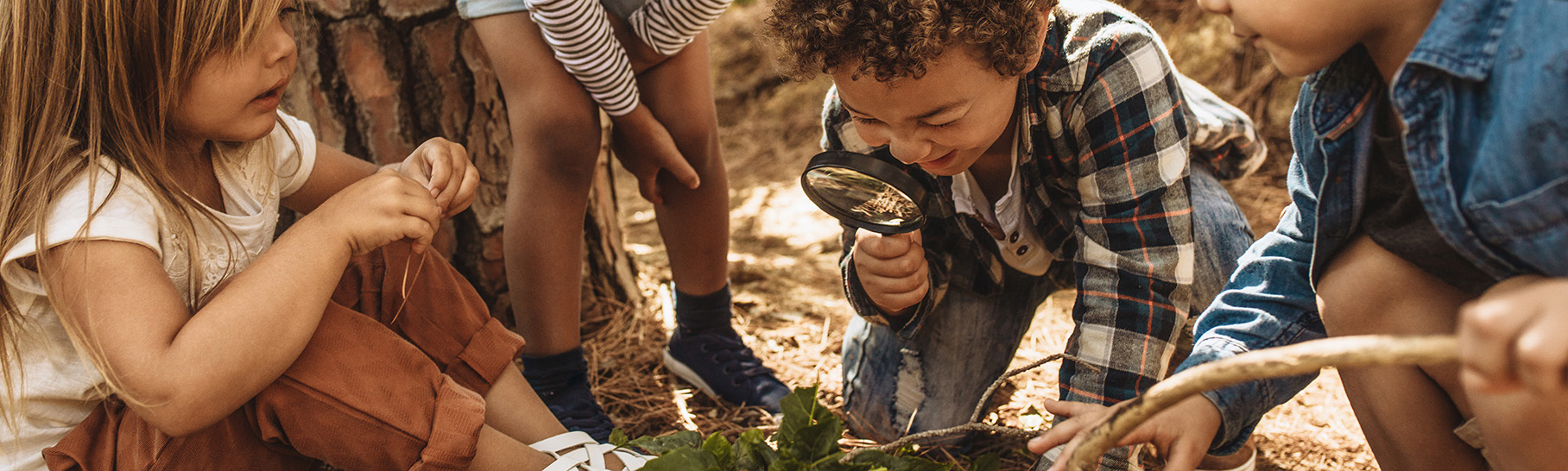 Four children exploring nature.