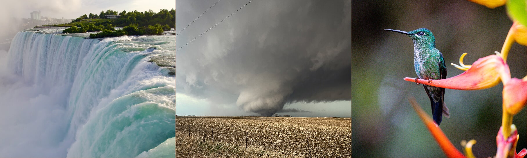 Programming highlights for earth month including images of Niagara Falls, an Iowa tornado and a hummingbird