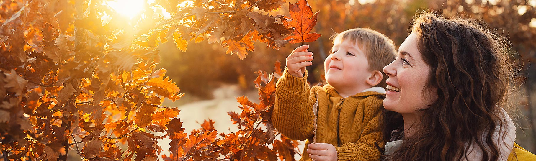 A mother and son enjoy the fall colors and leaves.