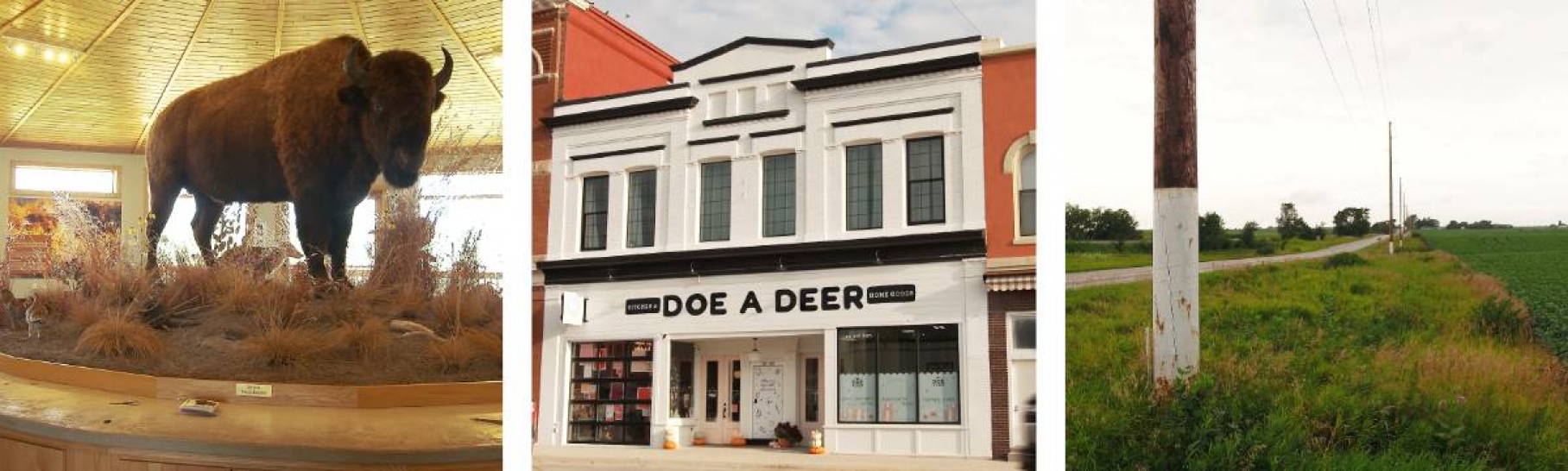 Three photos from L-R: A buffalo in a museum, a white storefront building with the words "Doe A Deer" above the door and an image of a white painted telephone pole along a rural Iowa road