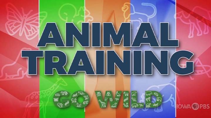 Animal Training, Go Wild