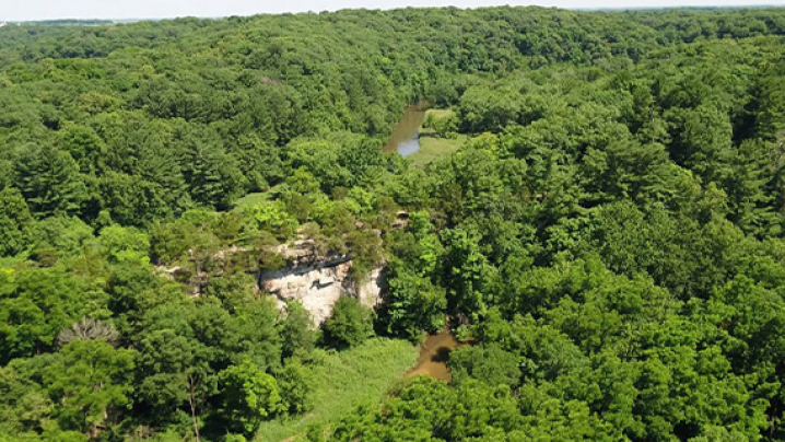 A lush green forest with high bluffs and river running through it.