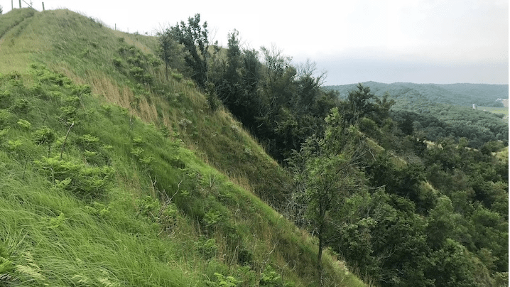 Cat hills at Loess 