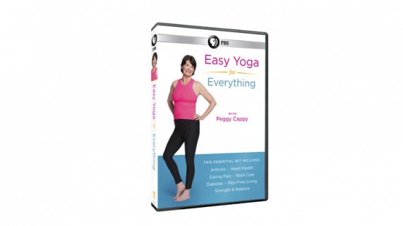 Easy Yoga for Everything with Peggy Cappy 10-DVD Set