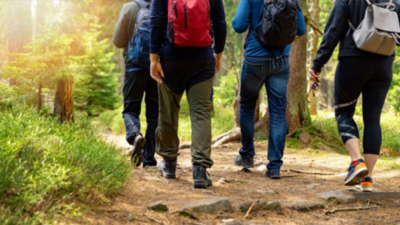 Four people walking away from the camera on a trail in a park