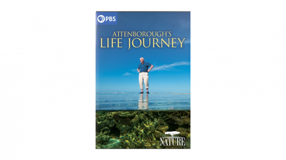 NATURE: Attenborough's Life Journey DVD