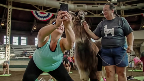 A woman holding the lead of a llama and another woman in front of them taking a selfie of all 3 of them.