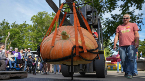 Giant pumpkin being lowered onto the ground at the Iowa State Fair