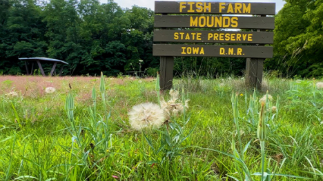 A wooden sign that reads Fish Farm Mounds State Preserve, Iowa DNR