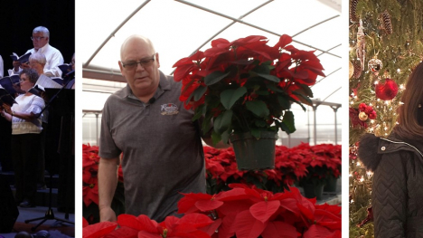 Three photos from L-R: A choir singing, a man holding a poinsettia, a mother and son in front of a Christmas tree