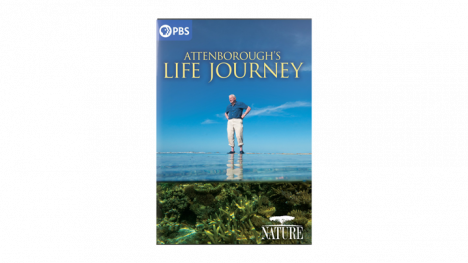 NATURE: Attenborough's Life Journey DVD