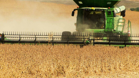 combine in soybean field