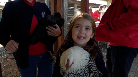 A student and her chicken at Florida's Academy at the Farm